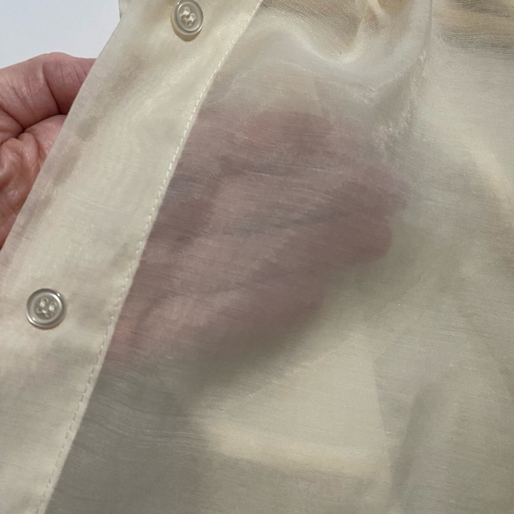 H&M sheer button up - Picture 2 of 3